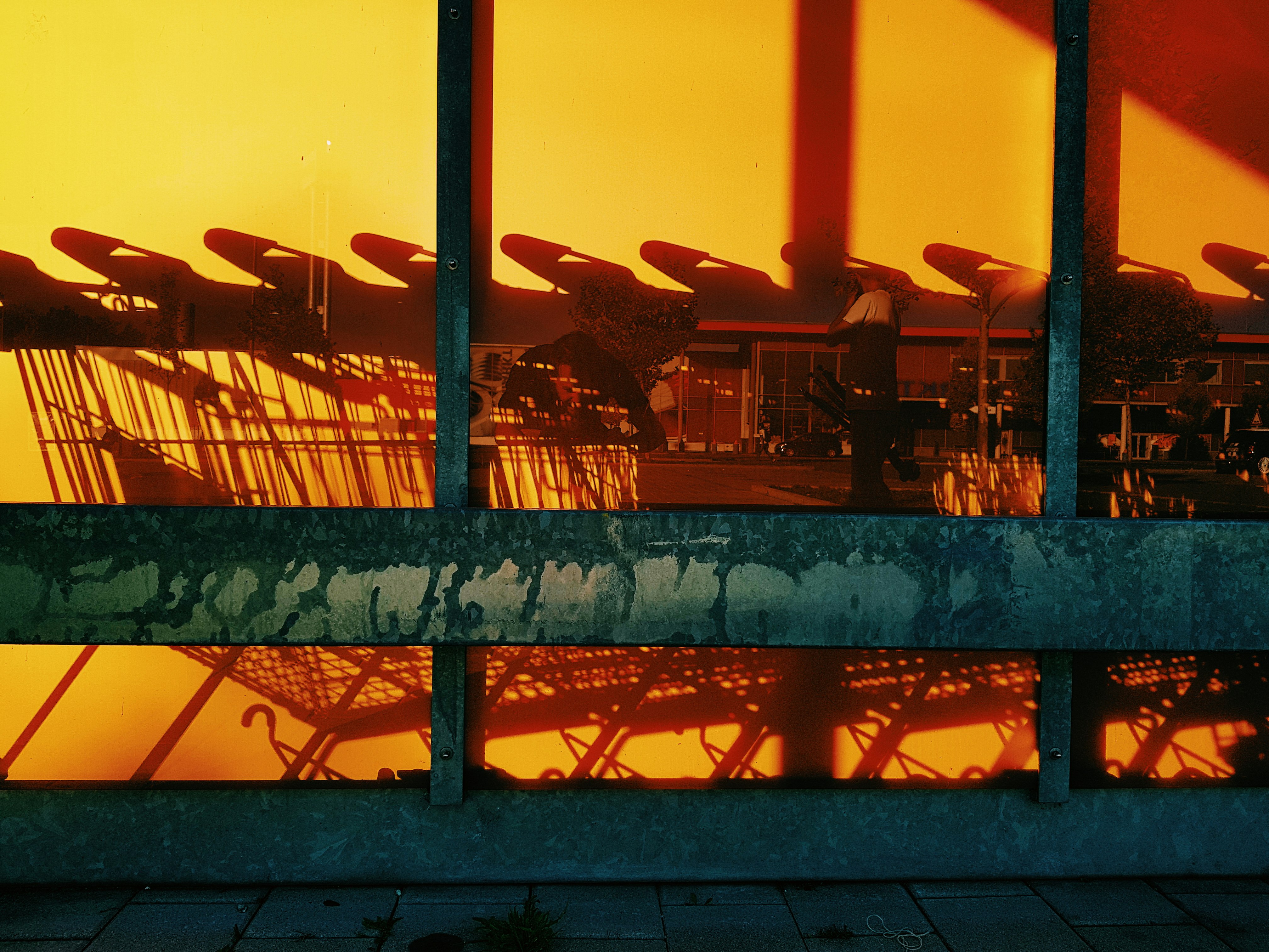 grocery cart photo